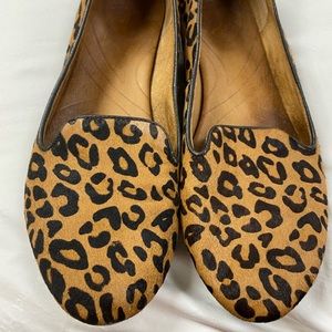Clarks leopard